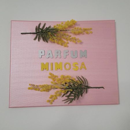 Parfum Mimosa Lägenhet Grasse Exteriör bild