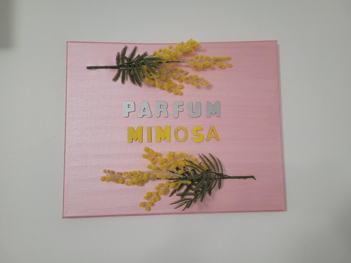 Parfum Mimosa Lägenhet Grasse Exteriör bild